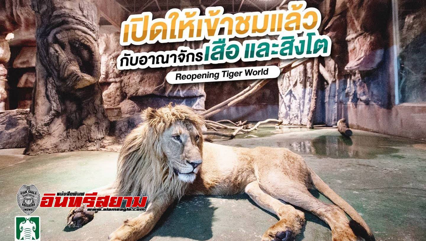 เชียงใหม่-“ไนท์ซาฟารี”เปิดให้เข้าชม อาณาจักรเสือและสิงโต