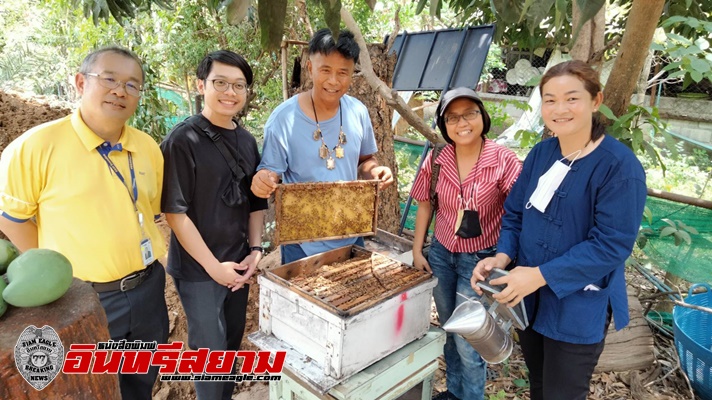 กาญจนบุรี-ที่ทำการของกำนันช่องสะเดา ได้จักศึกษาในการเลี้ยงผึ้งกล่อง