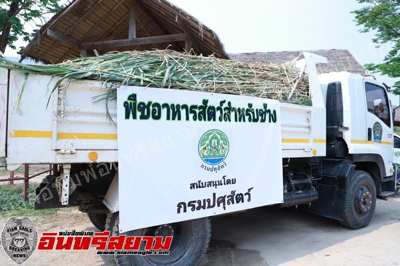 กาญจนบุรี-คณะผ้าป่าช่วยช้างไทยจัดพิธีทอดผ้าป่าช่วยช้างไทย