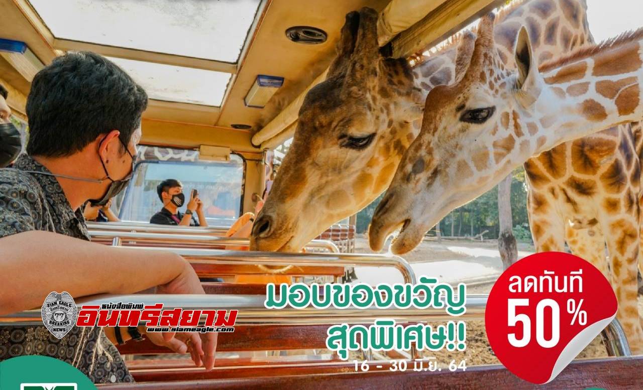 เชียงใหม่-ไนท์ซาฟารี พร้อมเปิดให้บริการ 16 มิถุนายน นี้ พร้อมมอบส่วนลด 50% เชียงใหม่-ไนท์ซาฟารี พร้อมเปิดให้บริการ 16 มิถุนายน นี้ พร้อมมอบส่วนลด 50%