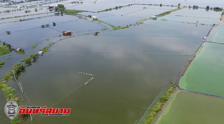สุพรรณบุรี-เกษตรกรผู้เลี้ยงกุ้งวอนช่วยเร่งระบายน้ำที่ท่วมบ่อกุ้งบ้านเรือนเสียหาย