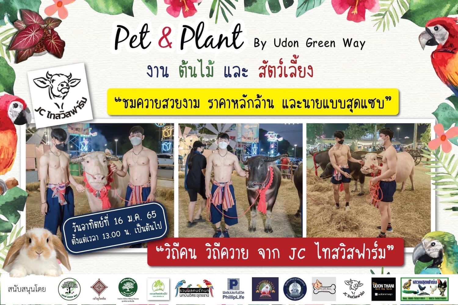 อุดรธานี – ถูกใจชาวไทย ชาวต่างชาติ แห่ชมงาน”Pet@Plant” งานต้นไม้และสัตว์เลี้ยง