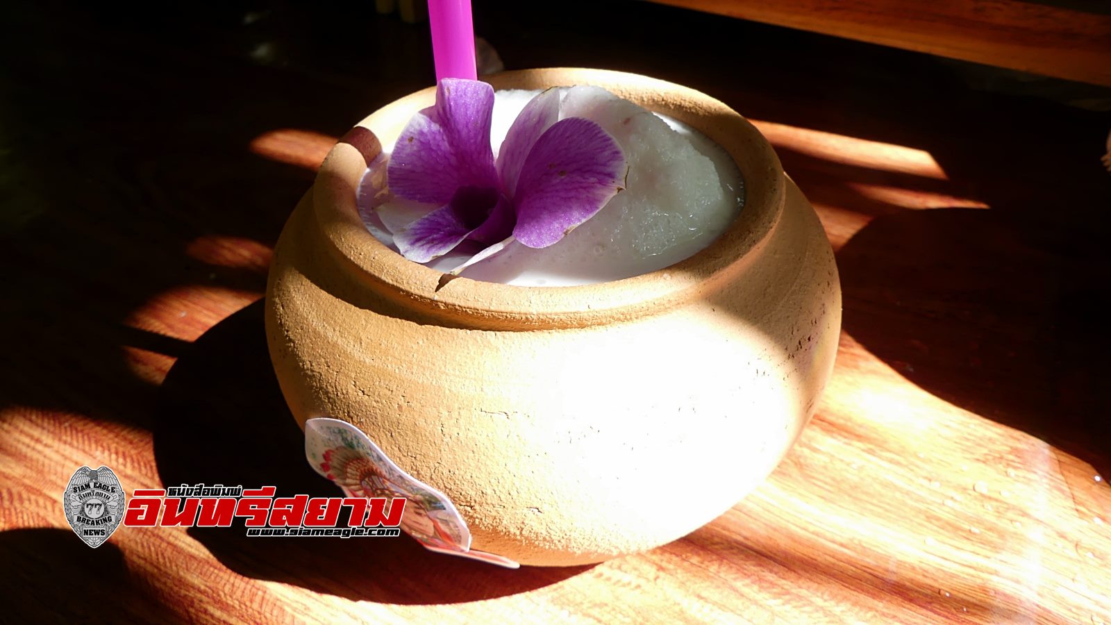 ราชบุรี-เมนูสุดว้าว”มะพร้าวตกโอ่ง”เครื่องดื่มเพื่อสุขภาพอร่อยจนวางไม่ลง ราชบุรี-เมนูสุดว้าว”มะพร้าวตกโอ่ง”เครื่องดื่มเพื่อสุขภาพอร่อยจนวางไม่ลง