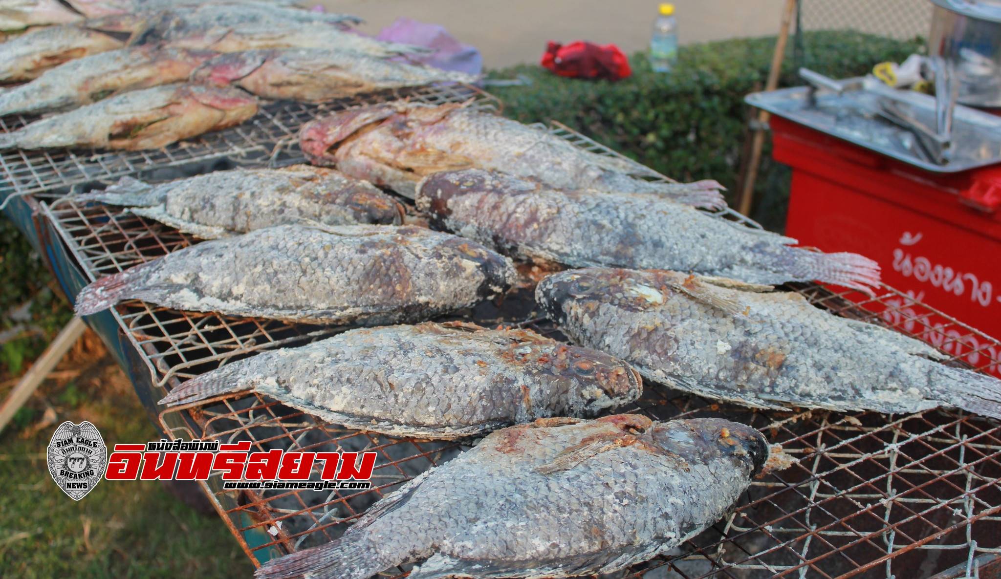 เพชรบุรี-ชวนเที่ยวงาน “เทศกาลกินปลา พาเที่ยวแก่งกระจาน “
