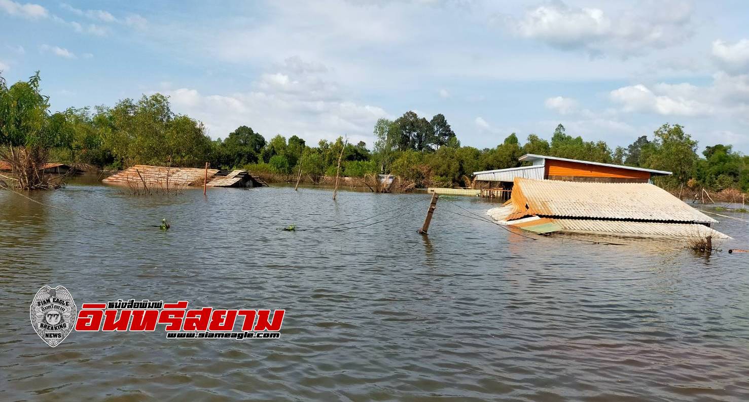 ศรีสะเกษ-ชุมชนหนองหมูเศร้า..!!น้ำท่วมถึงหลังคาบ้านนาน 2 เดือน วอนขออุปกรณ์ซ่อมแซมบ้านเรือนทุกหลัง