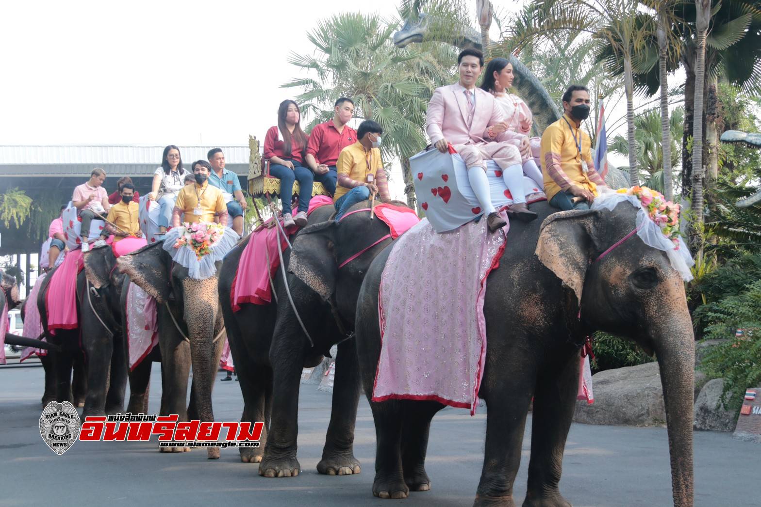 ชลบุรี-สวนนงนุชพัทยา จดทะเบียนสมรสบนหลังช้าง 99 คู่รัก ในวันวาเลนไทน์