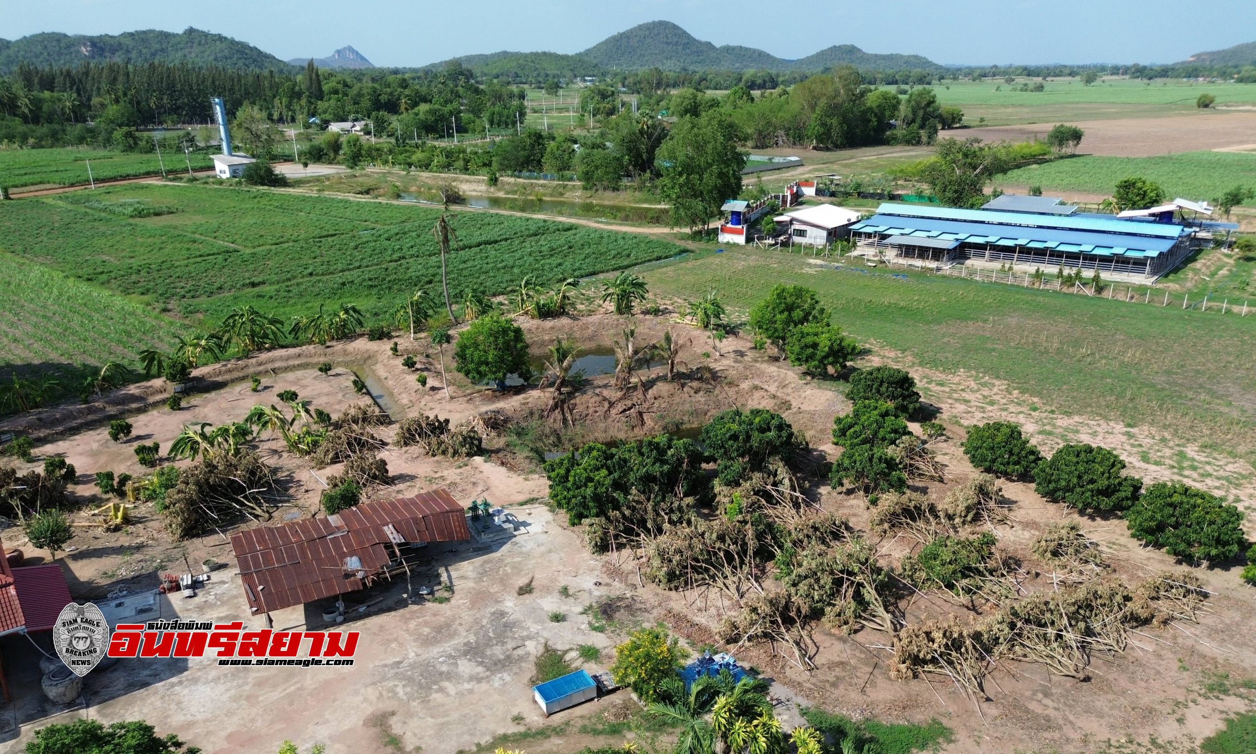 ราชบุรี-ลมพายุถล่ม 3 หมู่บ้าน ต้นลำไยล้มเกือบยกสวน