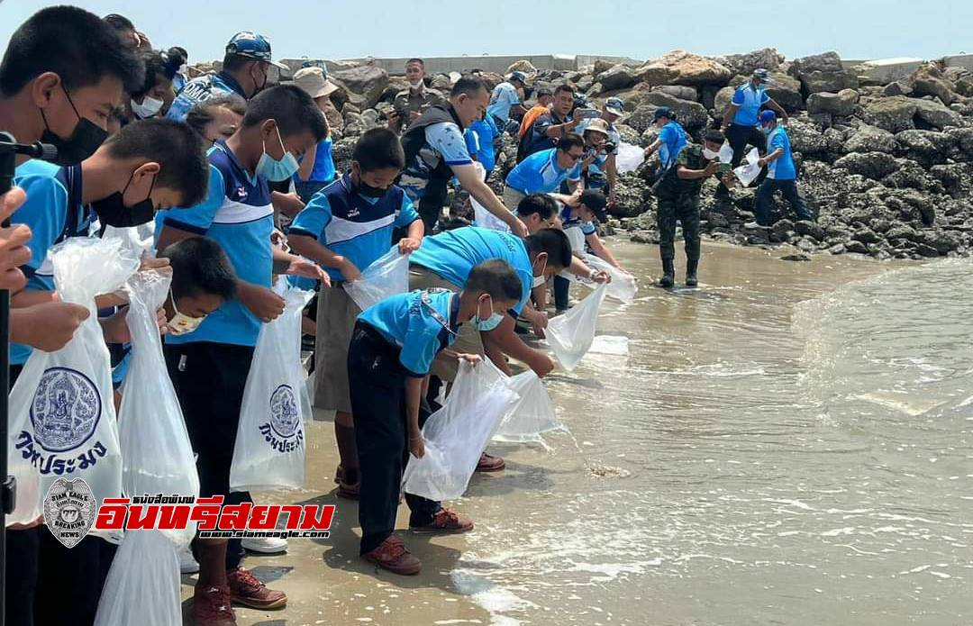 เพชรบุรี-งานวันทะเลโลกชวนเด็กและเยาวชนอนุรักษ์ทะเลไทย “เปลี่ยน พลิกฟื้น คืนโลกสีคราม”