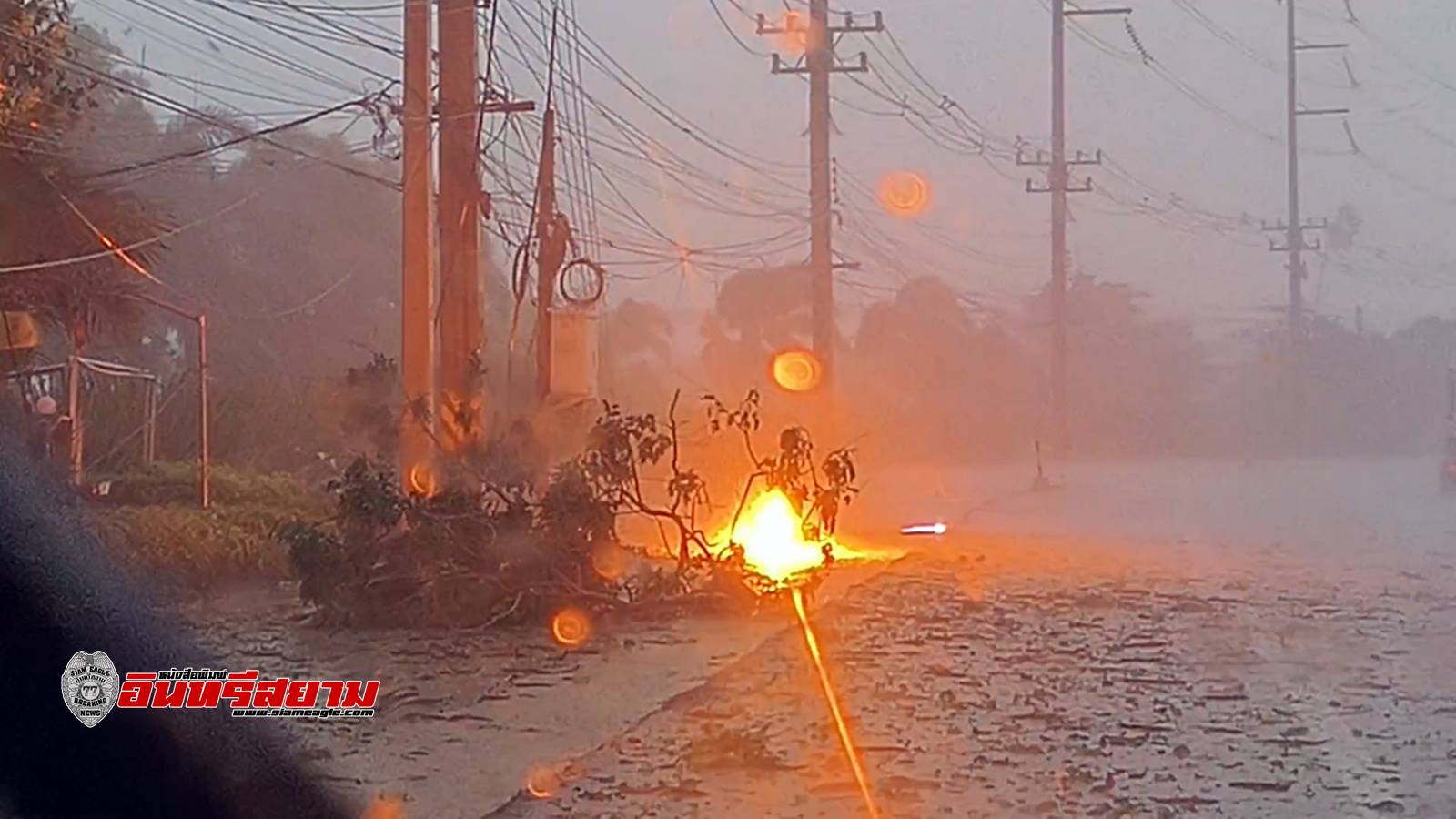 ราชบุรี-ดำเนินฯอ่วม..! เกิดพายุฝนแค่ครึ่งชั่วโมง ต้นไม้หักโค่นทับบ้านและสายไฟแรงสูงขาด