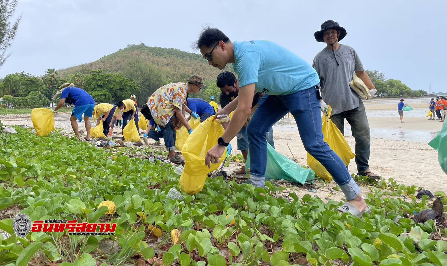 ชลบุรี-ทรภ.1 ร่วม บริษัท ลูซี่ อิเล็คทริค ประเทศไทย เก็บขยะชาดหาดดงตาล ฟื้นฟูสภาพแวดล้อมในทะเล