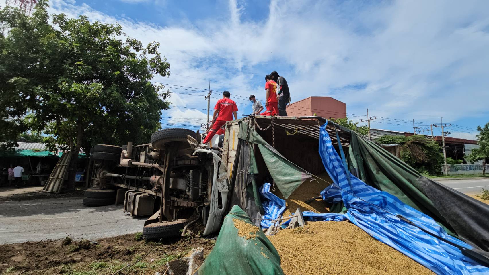 ลพบุรี-รถบรรทุกหมูชนท้ายรถข้าวเปลือกหมูตายเพียบ คนเจ็บสาหัสติดคาซาก