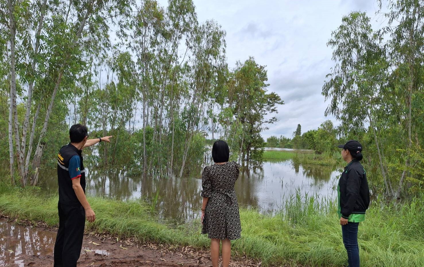 อำนาจเจริญ-อ่างเก็บน้ำพุทธอุทยานยังไหลล้นสติงเวย์นาข้าวกว่า 10,000 ไร่ ยังจมใต้น้ำ อำนาจเจริญ-อ่างเก็บน้ำพุทธอุทยานยังไหลล้นสติงเวย์นาข้าวกว่า 10,000 ไร่ ยังจมใต้น้ำ