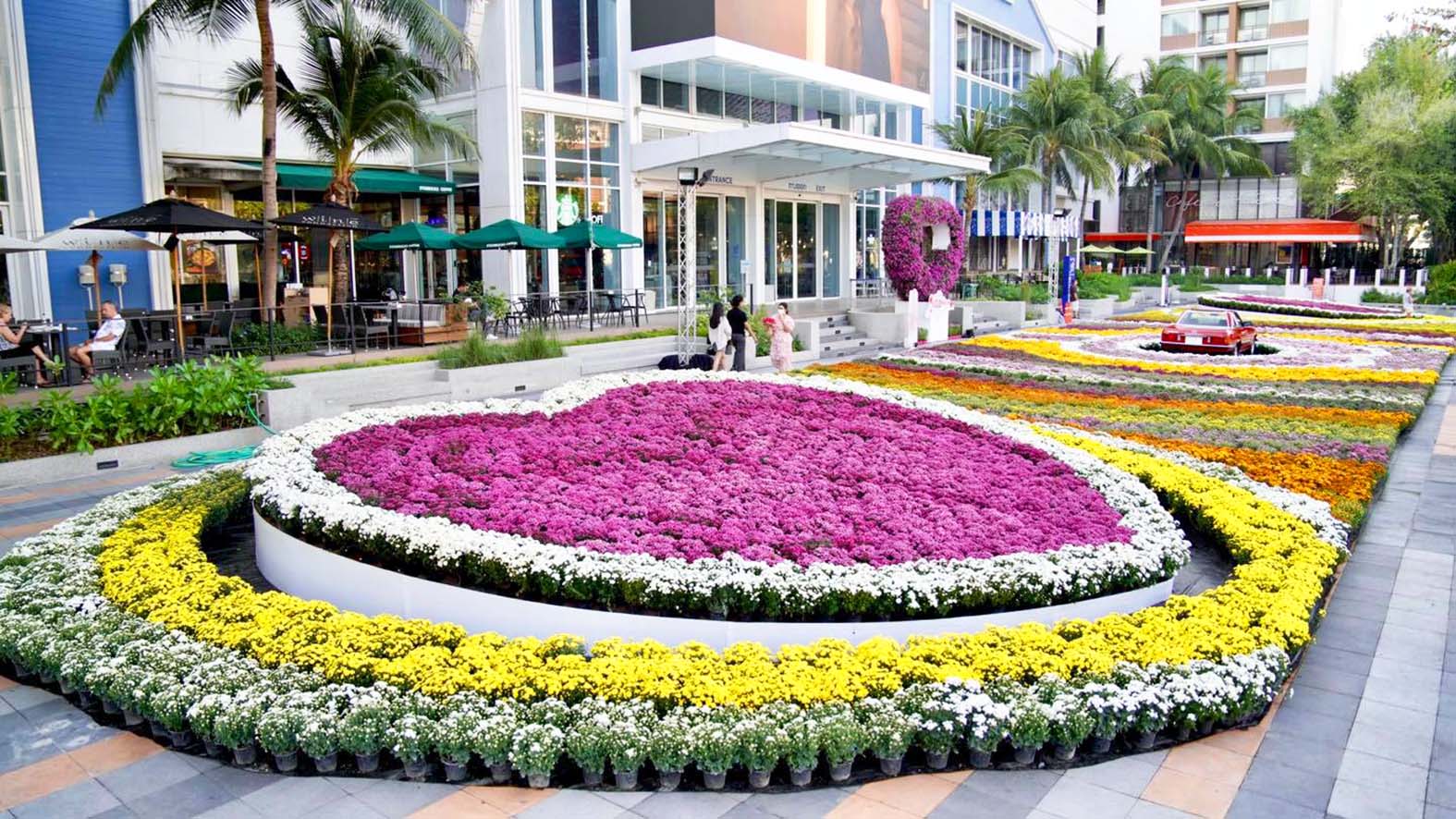 ประจวบคีรีขันธ์-“บลูพอร์ต” เนรมิตสวนดอกไม้แห่งรักสุดตระการตาต้อนรับเทศกาลวาเลนไทน์