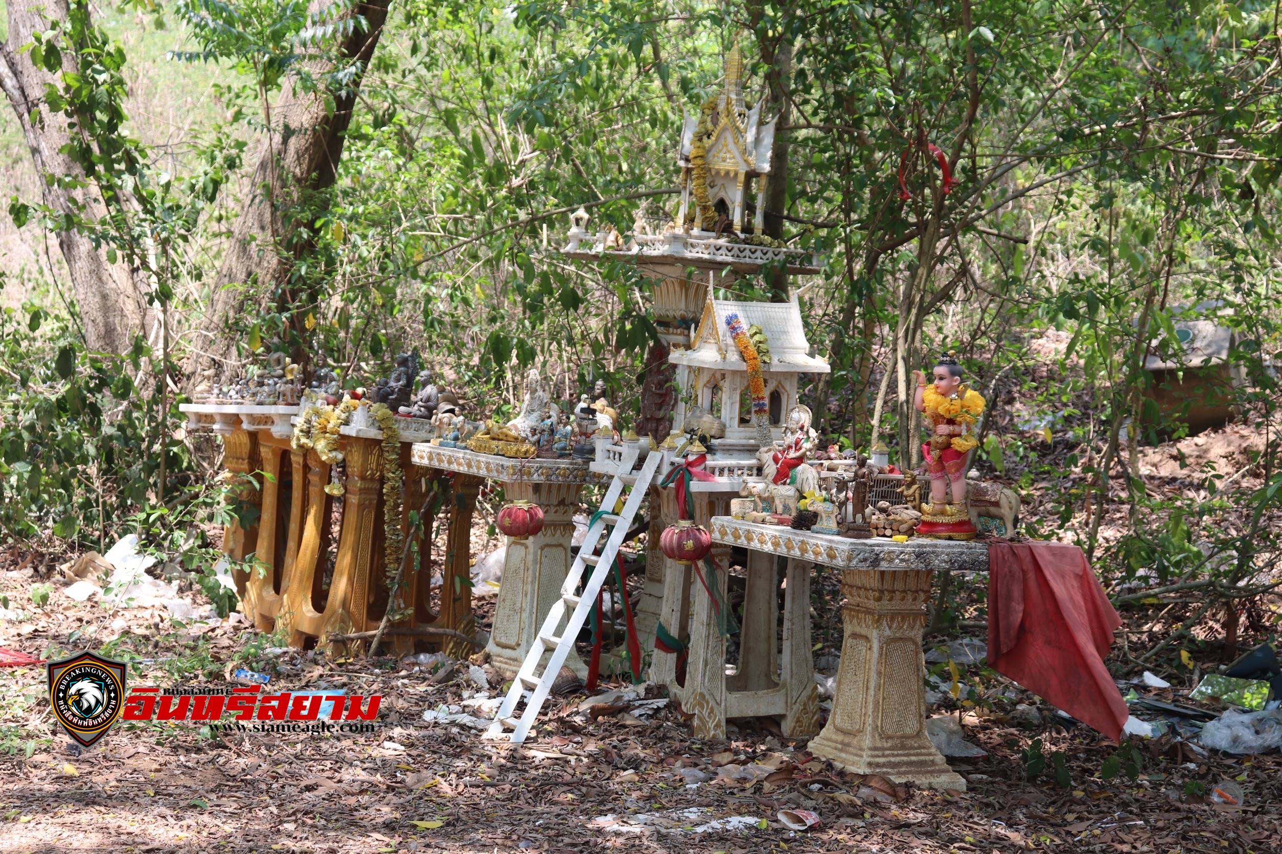 ชลบุรี-พบสุสาน ศาลพระภูมิเก่ากลางป่า ขยะกองโตส่งกลิ่นเหม็นเน่า