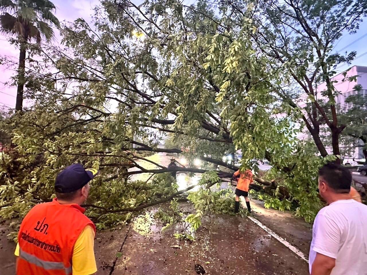 ลำปาง-ผู้ว่าฯลงพื้นที่แก้ไขเหตุต้นไม้ล้มขวางถนนและสิ่งก่อสร้างพังเสียหายจากเหตุพายุฤดูร้อน