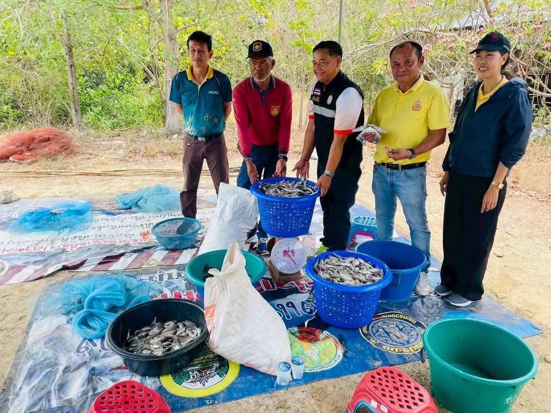 เพชรบุรี-เปิดกิจกรรมลงแขกลงคลองกำจัดปลาหมอคางดำ เพชรบุรี-เปิดกิจกรรมลงแขกลงคลองกำจัดปลาหมอคางดำ