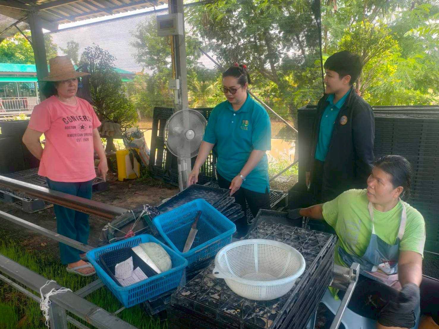 ร้อยเอ็ด-ศูนย์เมล็ดพันธุ์ ข้าวฯติดตามการจัดทำแปลงขยายพันธุ์ข้าวฤดูฝนและประชุมคณะกรรมการฯ อส.เกษตรฯ ร้อยเอ็ด-ศูนย์เมล็ดพันธุ์ ข้าวฯติดตามการจัดทำแปลงขยายพันธุ์ข้าวฤดูฝนและประชุมคณะกรรมการฯ อส.เกษตรฯ
